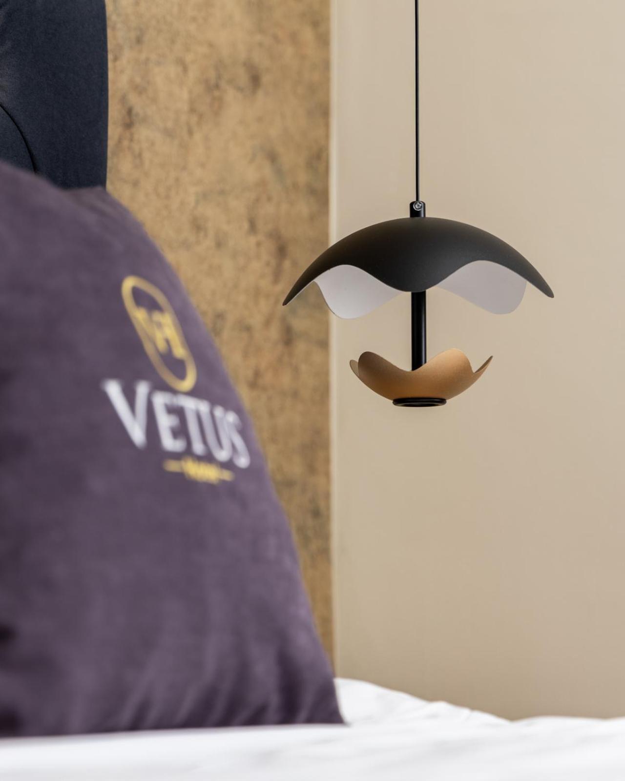 Vetus Hotel プリシュティナ エクステリア 写真
